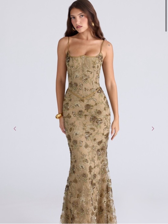 House of CB Dresses & Skirts - House of CB Olive Embroidered Lace Maxi Dress